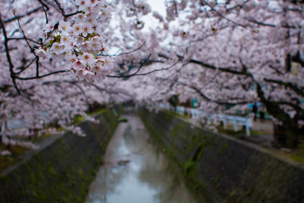 熊坂川