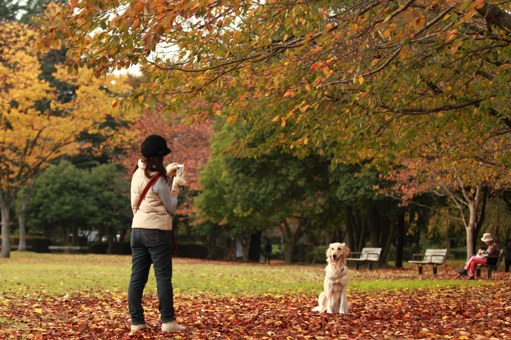 秋の公園