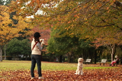 秋の公園