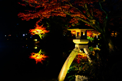 晩秋の名園 その三