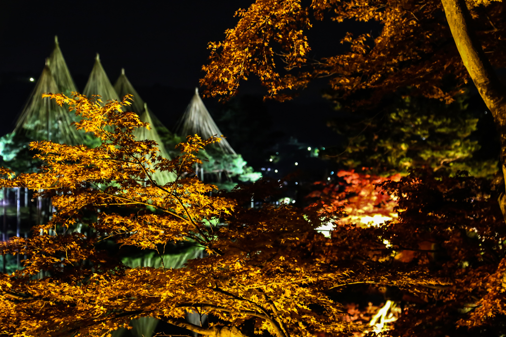 晩秋の名園 その四