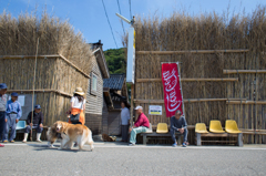 まれ　溜まり場