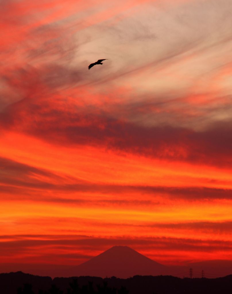 野島山から富士山を望む