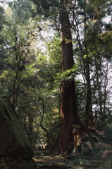 山道