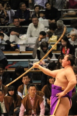 それぞれの晴れ舞台