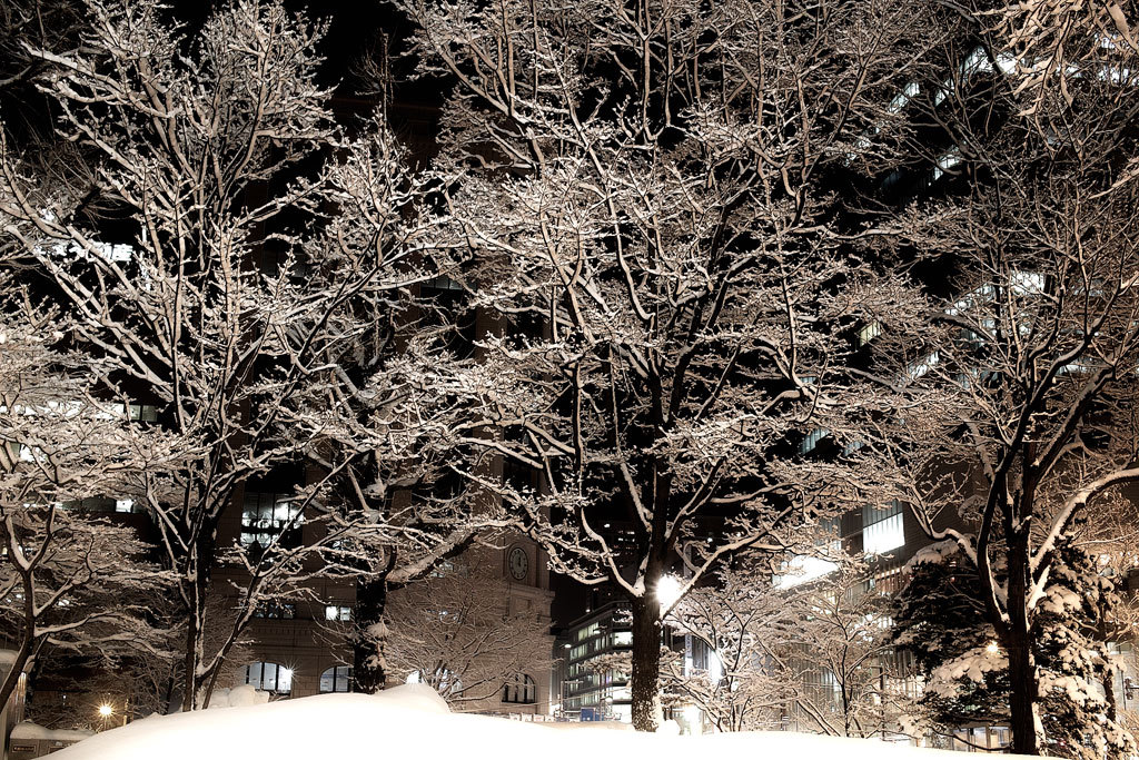 札幌の夜