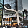 銀座の蛇イルミ