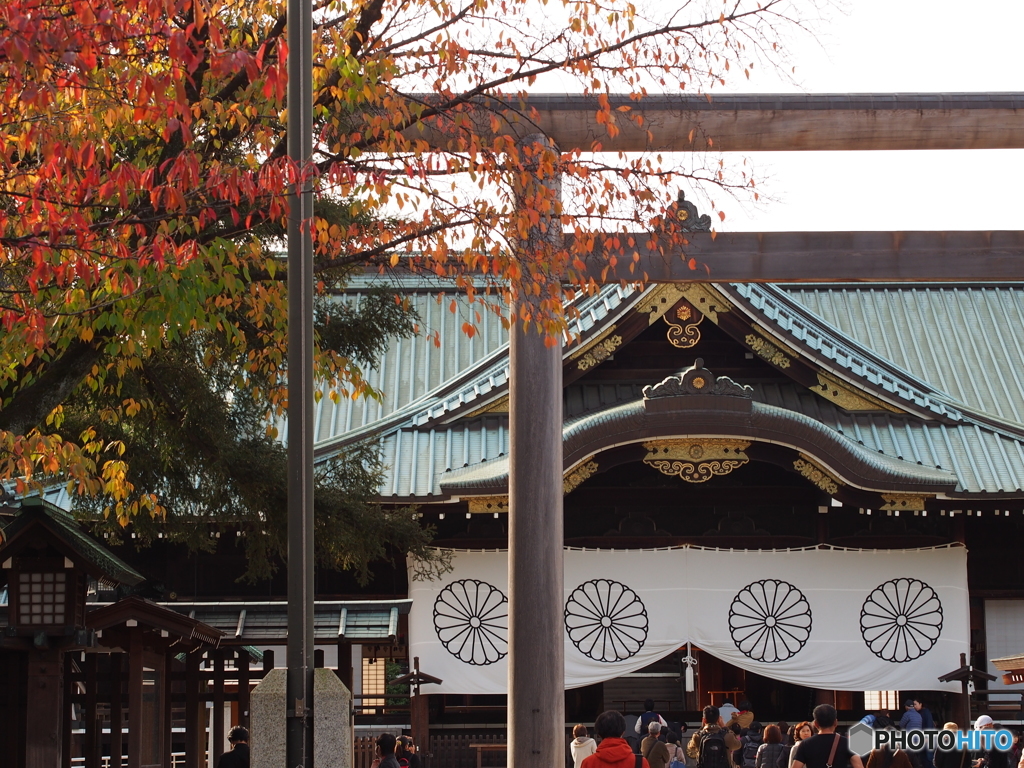 靖国神社の紅葉