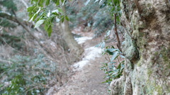 2013-02-08 16.56.23　4号路