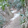 2013-02-08 16.56.23　4号路