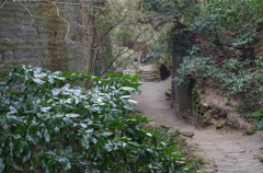 2013-02-12 10.47.30　青々