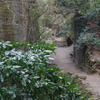 2013-02-12 10.47.30　青々
