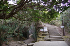 2013-02-12 10.36.35　分岐