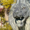 2013-02-24 08.43.17　ライオンの像