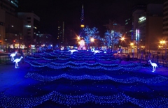 札幌イルミネーション