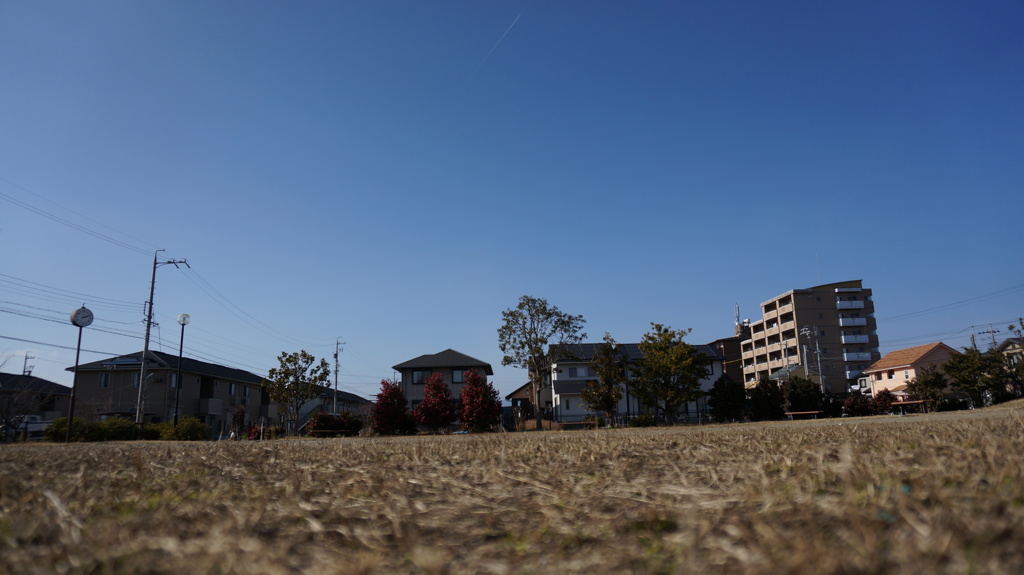 公園