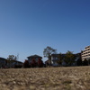 公園