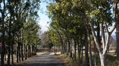 林道