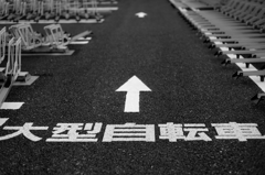 大型