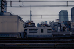 曇り空の東京スカイツリー