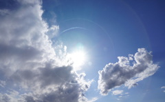 久しぶりの良い天気