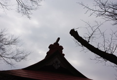 近所の神社