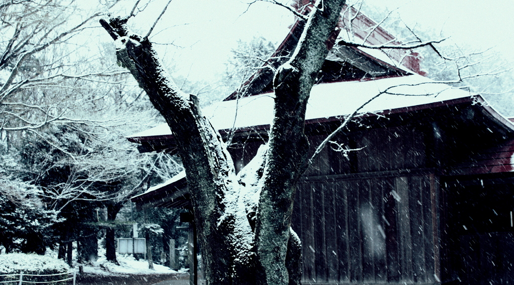 雪降る社