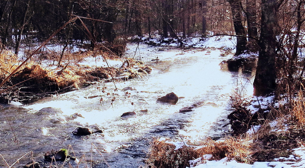冬の川