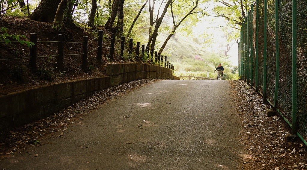 自転車がやって来た。