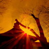 神社の光