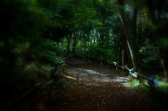妖精の森