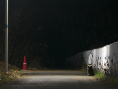 夜道の番人