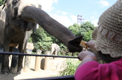 ん〜もうちょっっと！