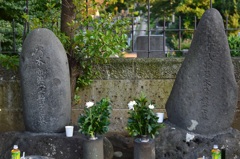 乃木希典と静子夫人の墓