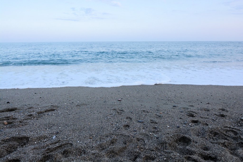 桂浜２