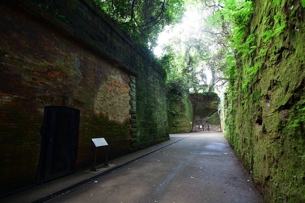 Green Fortress5