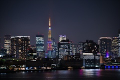 レインボーブリッジから望む東京タワー