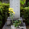 芹沢鴨の墓