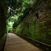 Green Fortress1