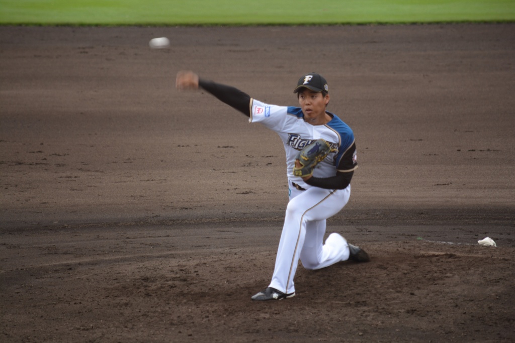 杉浦稔大⚾︎北海道日本ハムファイターズ