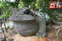でっカエル