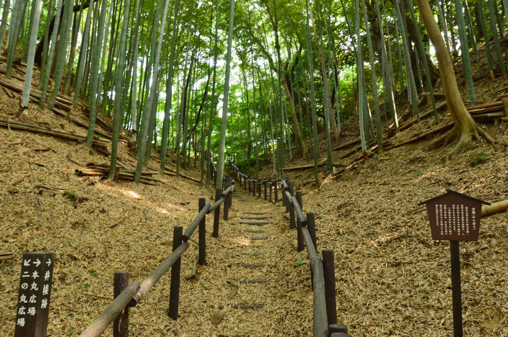 奥の細道