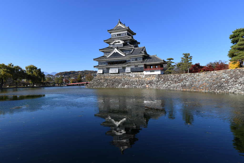 松本城2023.11.8