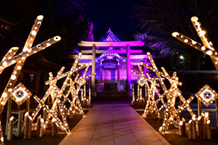 牛嶋神社イルミタイム～2