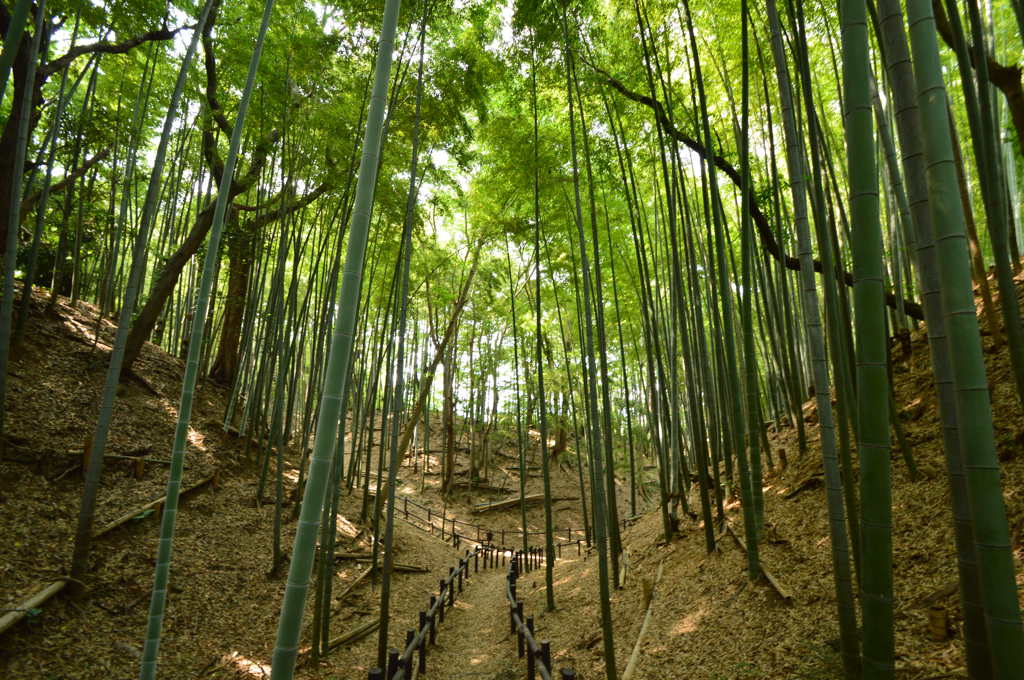 小机城跡地