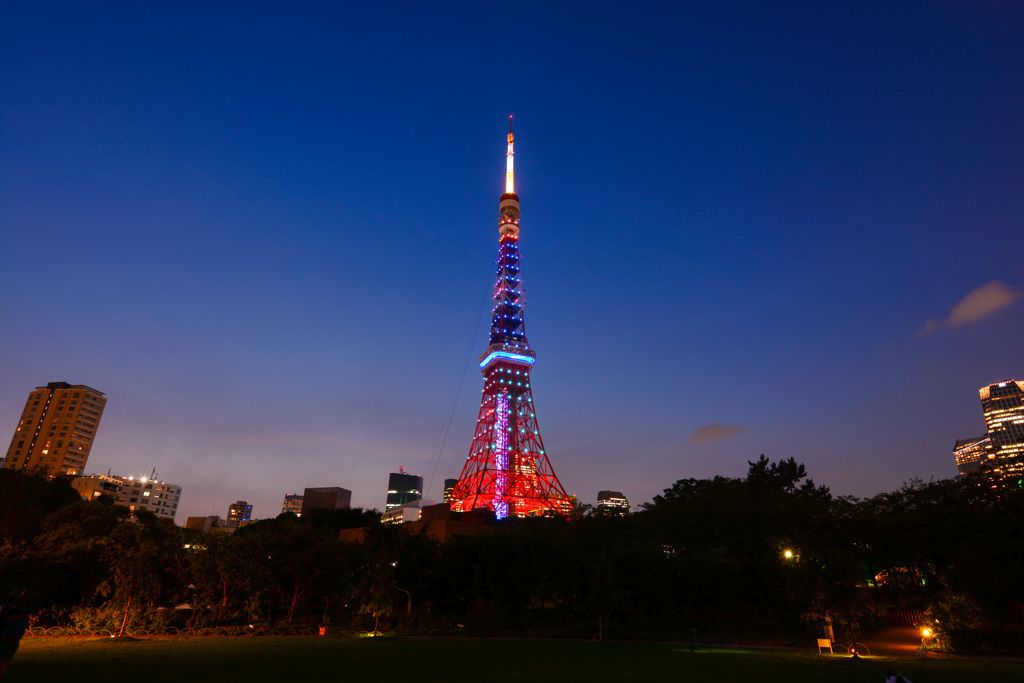 晩夏のダイアモンドヴェール