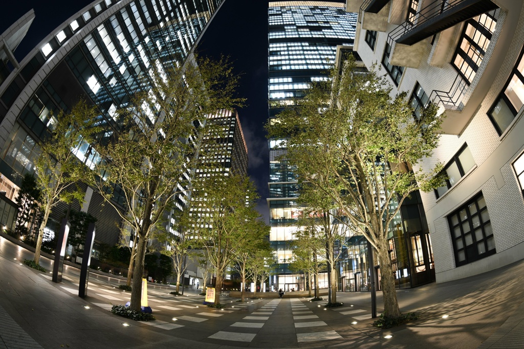 夜の広場