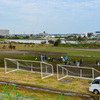 共走～がんばれ湘南！