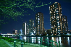 隅田川の夜