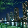 隅田川の夜